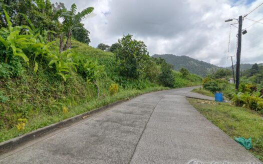 BELLES – 5.62 Acres Of Elevated Rain Forest With Heavy Flowing Streams & Mountain Views