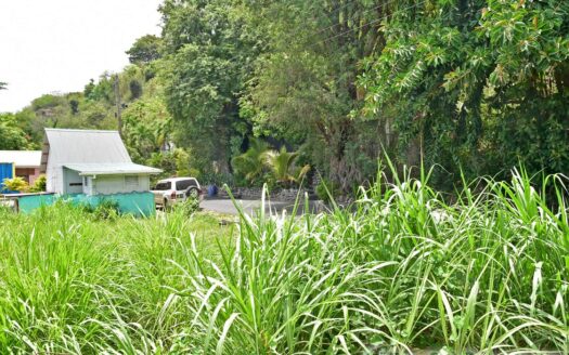 CITRONIER – 6112.sq.ft Sea Front Lot with Single Storey Fixer