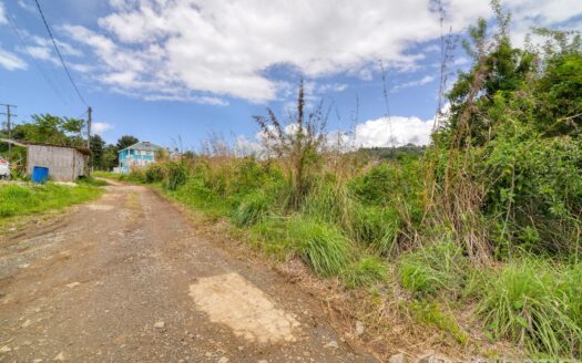 WARNER – 10,074sqft Prime Residential Lot In Developing Area