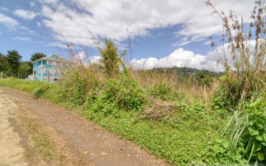 WARNER – 10,074sqft Prime Residential Lot In Developing Area