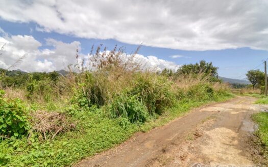 WARNER – 10,074sqft Prime Residential Lot In Developing Area