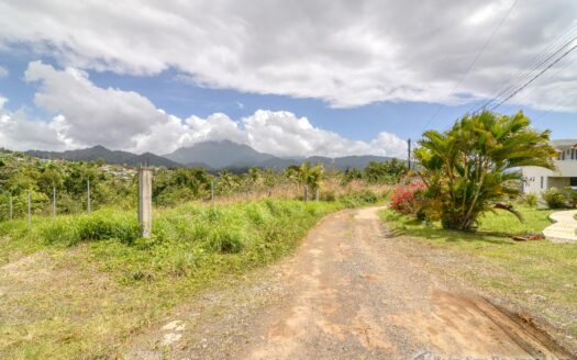 WARNER – 10,074sqft Prime Residential Lot In Developing Area