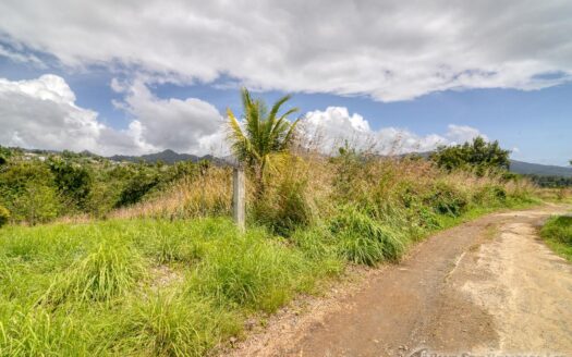 WARNER – 10,074sqft Prime Residential Lot In Developing Area