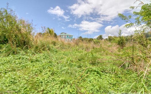 WARNER – 10,074sqft Prime Residential Lot In Developing Area