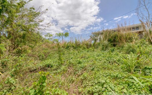 WARNER – 10,074sqft Prime Residential Lot In Developing Area