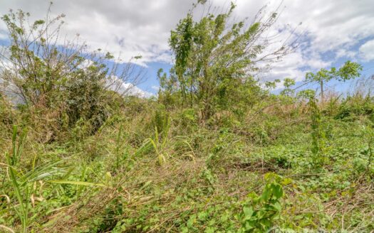 WARNER – 10,074sqft Prime Residential Lot In Developing Area