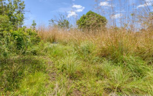 WARNER – 10,074sqft Prime Residential Lot In Developing Area