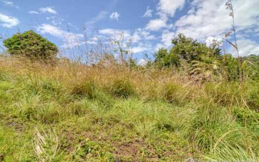 WARNER – 10,074sqft Prime Residential Lot In Developing Area