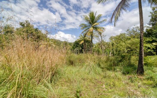 WARNER – 10,074sqft Prime Residential Lot In Developing Area