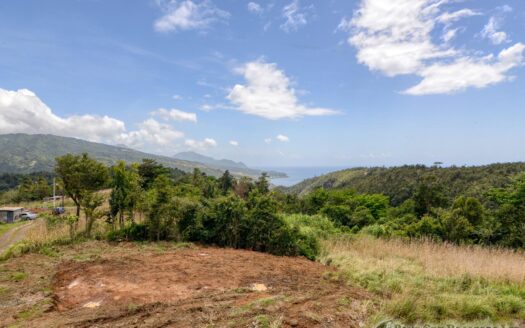 WARNER – 10,074sqft Prime Residential Lot In Developing Area