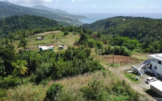 WARNER – 10,074sqft Prime Residential Lot In Developing Area