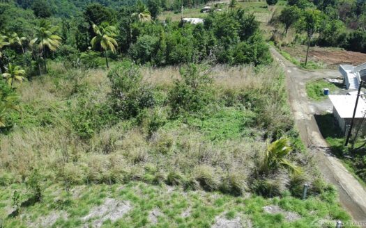 WARNER – 10,074sqft Prime Residential Lot In Developing Area