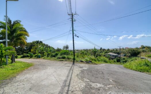 WARNER – 10,074sqft Prime Residential Lot In Developing Area