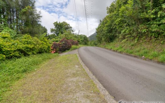 CORONA – 2 Floor, 6 Bedroom, 5 bath house in serene, central location on 1.10 Acre of lush property