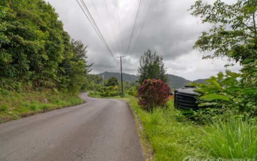 CORONA – 2 Floor, 6 Bedroom, 5 bath house in serene, central location on 1.10 Acre of lush property