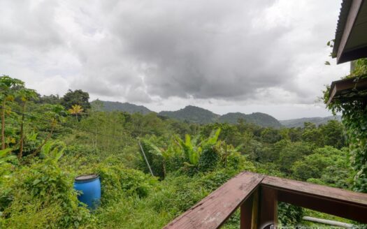 CORONA – 2 Floor, 6 Bedroom, 5 bath house in serene, central location on 1.10 Acre of lush property