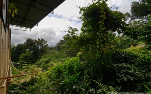 CORONA – 2 Floor, 6 Bedroom, 5 bath house in serene, central location on 1.10 Acre of lush property