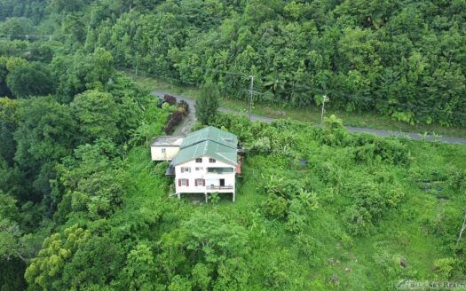 CORONA – 2 Floor, 6 Bedroom, 5 bath house in serene, central location on 1.10 Acre of lush property