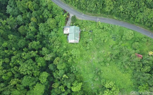 CORONA – 2 Floor, 6 Bedroom, 5 bath house in serene, central location on 1.10 Acre of lush property