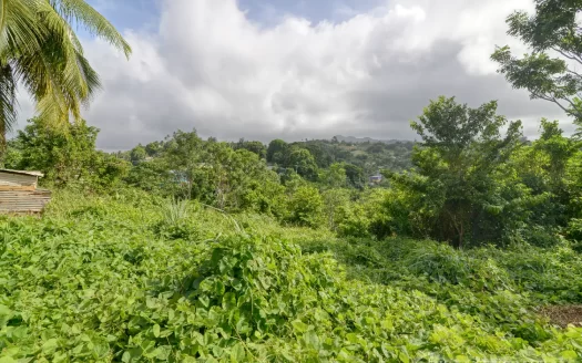 MARIGOT, Sam’s Gutter – 10,070.sq.ft. Large Prime Residential Lot