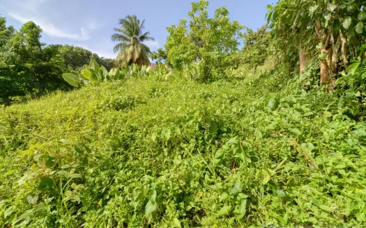 MARIGOT, Sam’s Gutter – 10,070.sq.ft. Large Prime Residential Lot