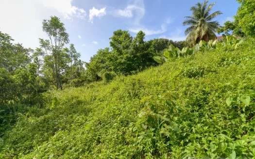 MARIGOT, Sam’s Gutter – 10,070.sq.ft. Large Prime Residential Lot