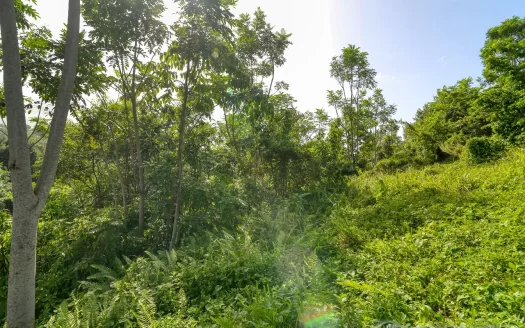 MARIGOT, Sam’s Gutter – 10,070.sq.ft. Large Prime Residential Lot