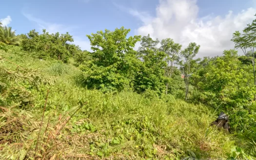 MARIGOT, Sam’s Gutter – 10,070.sq.ft. Large Prime Residential Lot