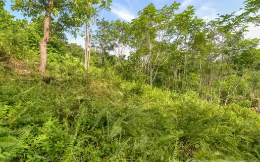 MARIGOT, Sam’s Gutter – 10,070.sq.ft. Large Prime Residential Lot