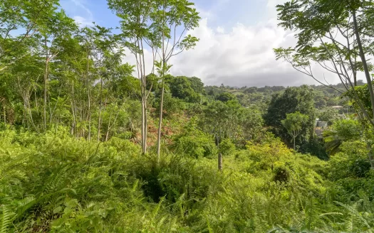 MARIGOT, Sam’s Gutter – 10,070.sq.ft. Large Prime Residential Lot