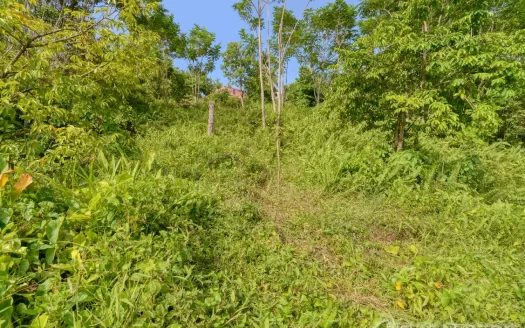 MARIGOT, Sam’s Gutter – 10,070.sq.ft. Large Prime Residential Lot