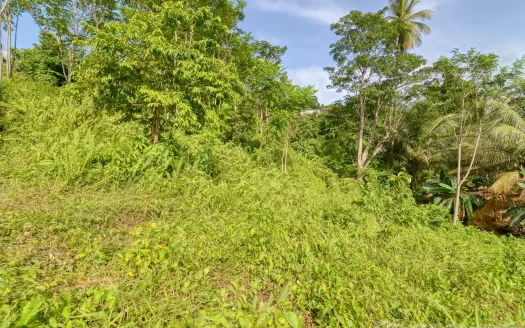 MARIGOT, Sam’s Gutter – 10,070.sq.ft. Large Prime Residential Lot