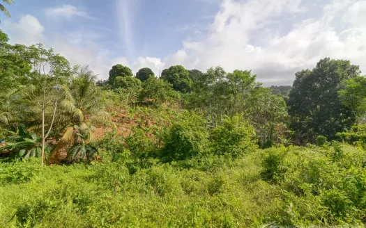 MARIGOT, Sam’s Gutter – 10,070.sq.ft. Large Prime Residential Lot