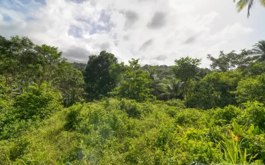 MARIGOT, Sam’s Gutter – 10,070.sq.ft. Large Prime Residential Lot