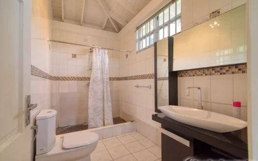 Fields Lane, ROSEAU – 3 Floor Elegant Home With Commercial Ground Floor On 1,185 sq.ft.