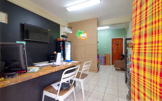 Fields Lane, ROSEAU – 3 Floor Elegant Home With Commercial Ground Floor On 1,185 sq.ft.