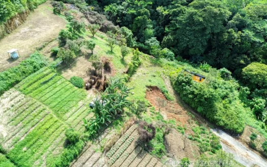 GIRAUDEL, Morne Gombo Estate – Versatile, Elevated 0.67 Acre Lot With Sea View