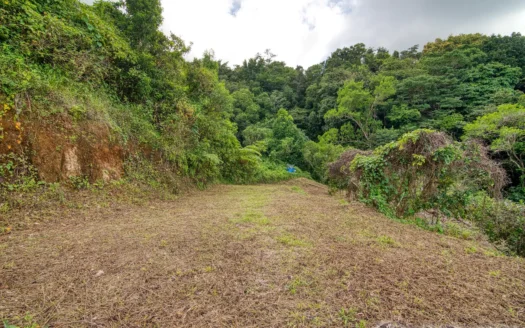 GIRAUDEL, Morne Gombo Estate – Versatile, Elevated 0.67 Acre Lot With Sea View