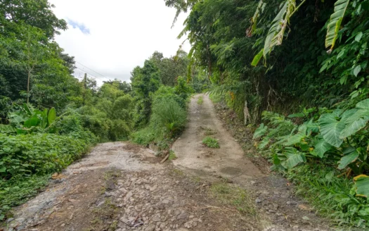 GIRAUDEL, Morne Gombo Estate – Versatile, Elevated 0.67 Acre Lot With Sea View