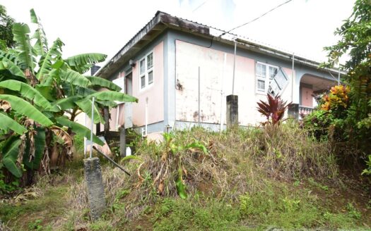 Geneva, GRAND BAY – 3 Bedroom Bungalow Fixer On 7,160.sq.ft. With Sea View