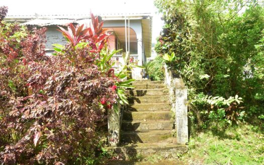 Geneva, GRAND BAY – 3 Bedroom Bungalow Fixer On 7,160.sq.ft. With Sea View