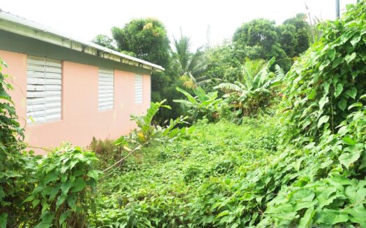 Geneva, GRAND BAY – 3 Bedroom Bungalow Fixer On 7,160.sq.ft. With Sea View