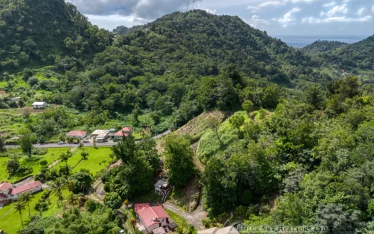 SYLVANIA – 1.723 Acre Residential /Agricultural Lot In Cool, Tranquil Location