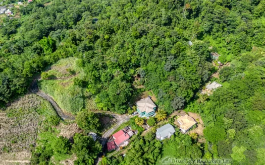 SYLVANIA – 1.723 Acre Residential /Agricultural Lot In Cool, Tranquil Location