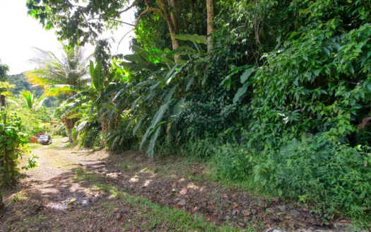 SYLVANIA – 1.723 Acre Residential /Agricultural Lot In Cool, Tranquil Location