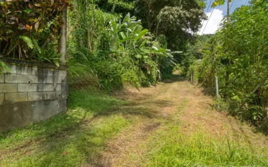 SYLVANIA – 1.723 Acre Residential /Agricultural Lot In Cool, Tranquil Location