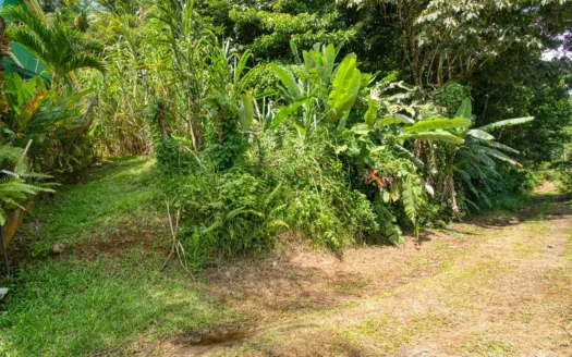 SYLVANIA – 1.723 Acre Residential /Agricultural Lot In Cool, Tranquil Location