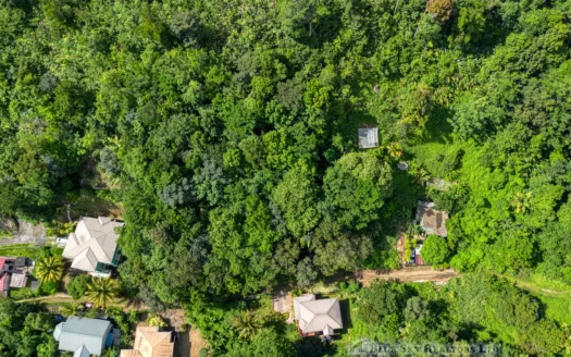 SYLVANIA – 1.723 Acre Residential /Agricultural Lot In Cool, Tranquil Location