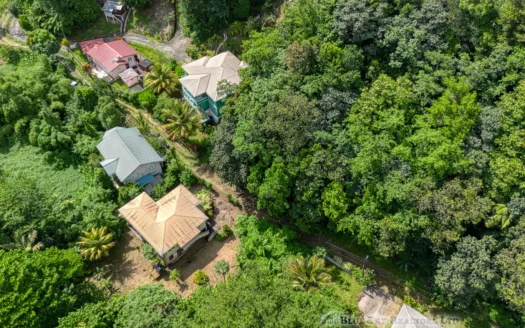 SYLVANIA – 1.723 Acre Residential /Agricultural Lot In Cool, Tranquil Location