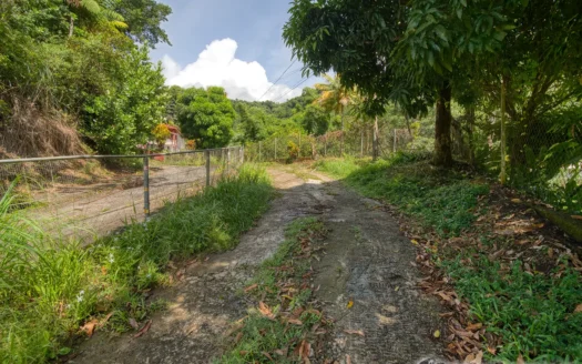 SYLVANIA – 1.723 Acre Residential /Agricultural Lot In Cool, Tranquil Location